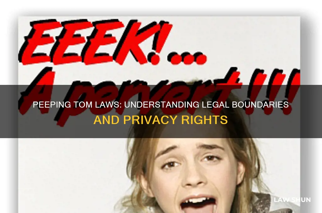 is it agaisnt the law to be a peeping tom