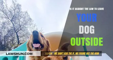 Is Leaving Your Dog Outside Illegal? Legal Insights for Pet Owners