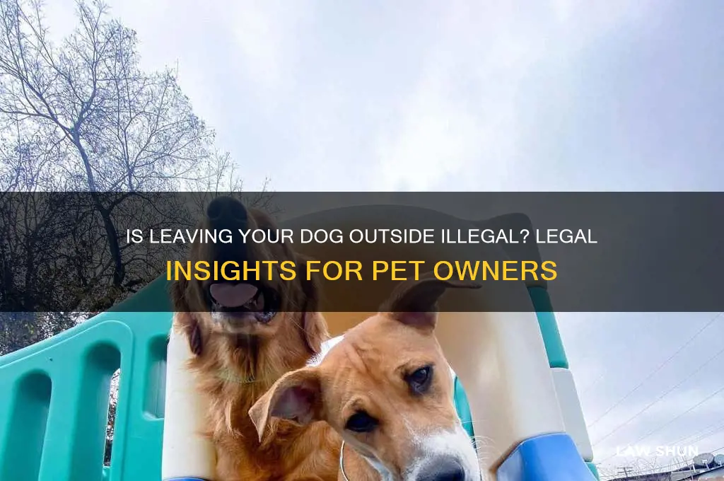 is it agaisnt the law to leave your dog outside