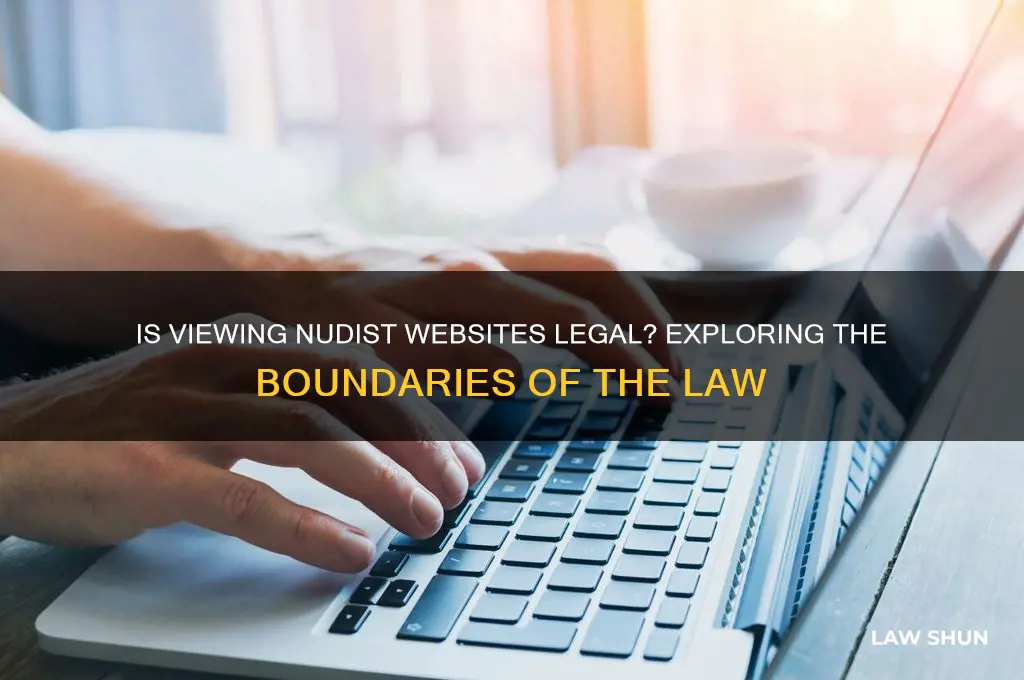 is it agaisnt the law to look at nudist sites