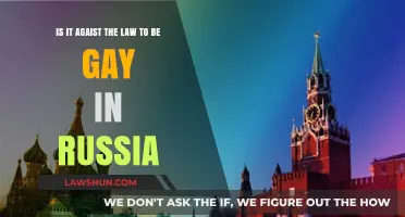 Is Being Gay Illegal in Russia? Understanding the Current Laws