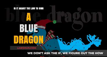 Is Owning a Blue Dragon Legal? Exploring Mythical Pet Laws