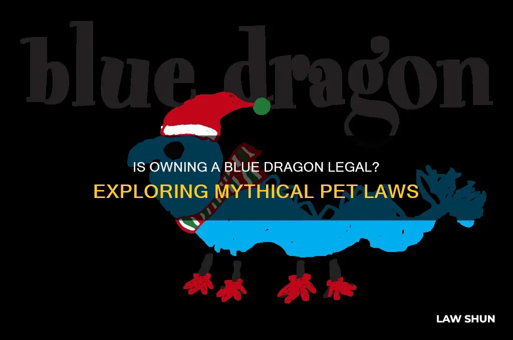 is it agaist the law to own a blue dragon