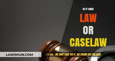 Case Law or Caselaw: What's the Difference?