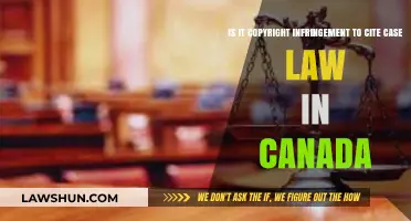 Case Law Citations: Canadian Copyright Conundrum?