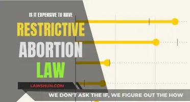 Restrictive Abortion Laws: A Costly Burden for Women