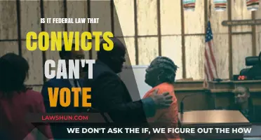 The Right to Vote: A Federal Law for Convicts?