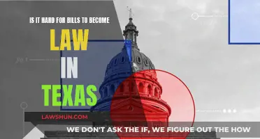 Texas Lawmaking: A Tough Road for Bills