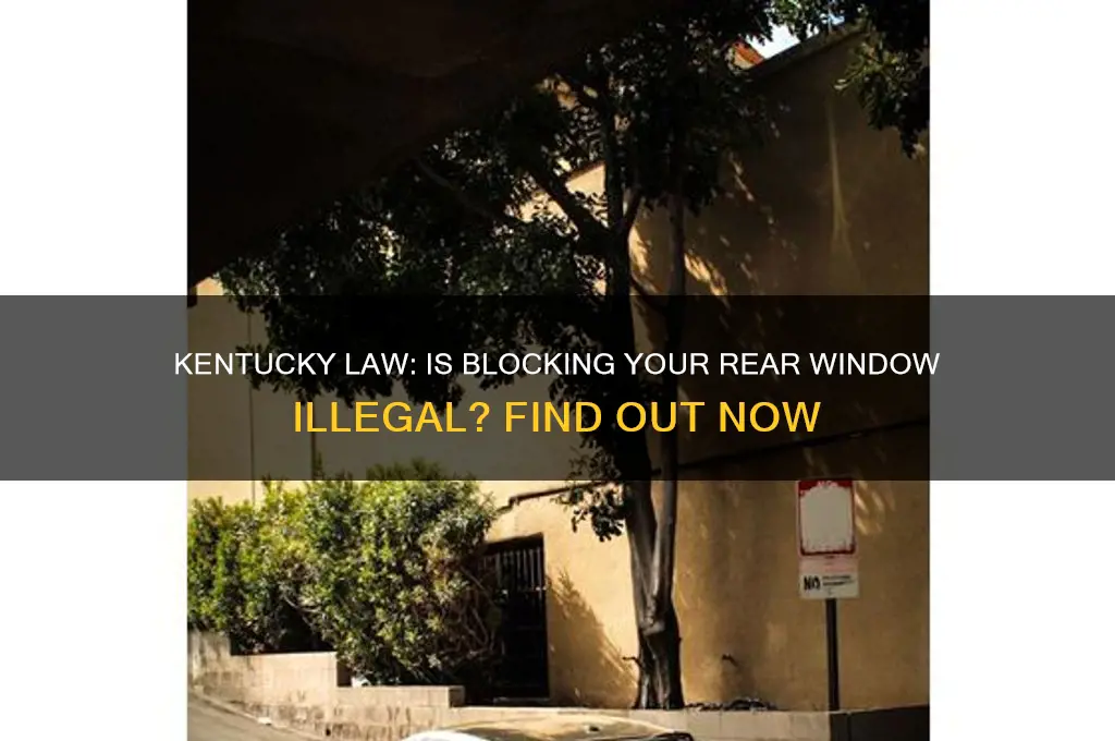 is it illegal to block your rear window kentucky law