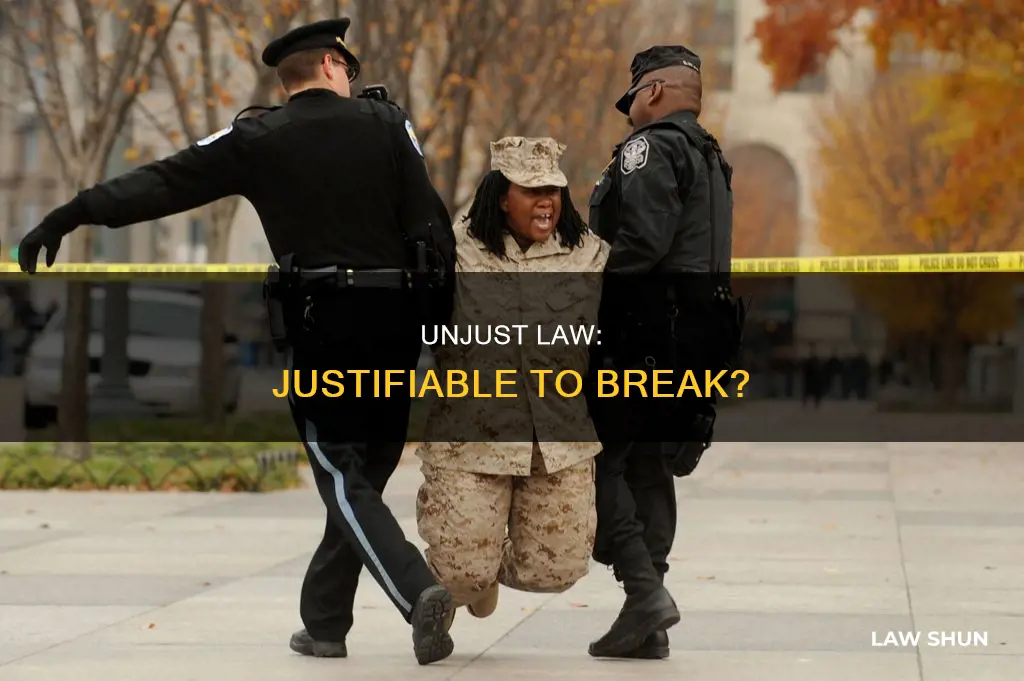 is it justified to break an unjust law