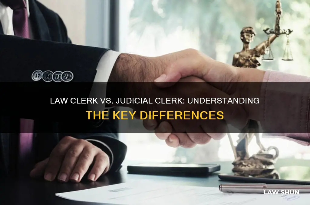 is it law clerk judicial law clerk or judicial clerk
