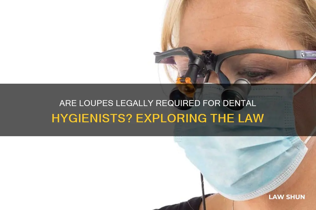 is it law for hygienist to wear loupes