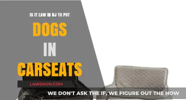 NJ Dog Carseat Laws: What Pet Owners Need to Know