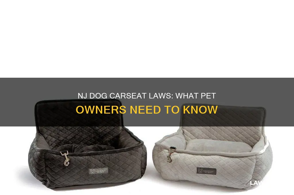 is it law in nj to put dogs in carseats