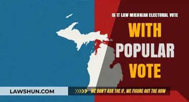 Michigan's Electoral Vote vs. Popular Vote: Understanding the Legal Framework