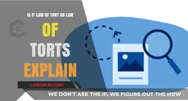 Law of Tort vs. Law of Torts: Understanding the Legal Distinction