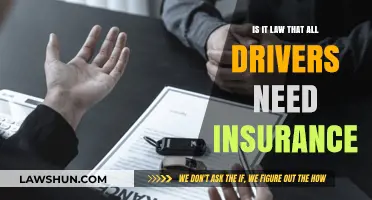 Is Car Insurance Legally Required for All Drivers? Exploring the Law