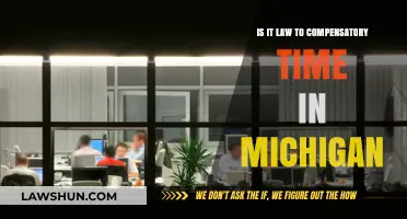Is Compensatory Time Off Legally Required in Michigan?