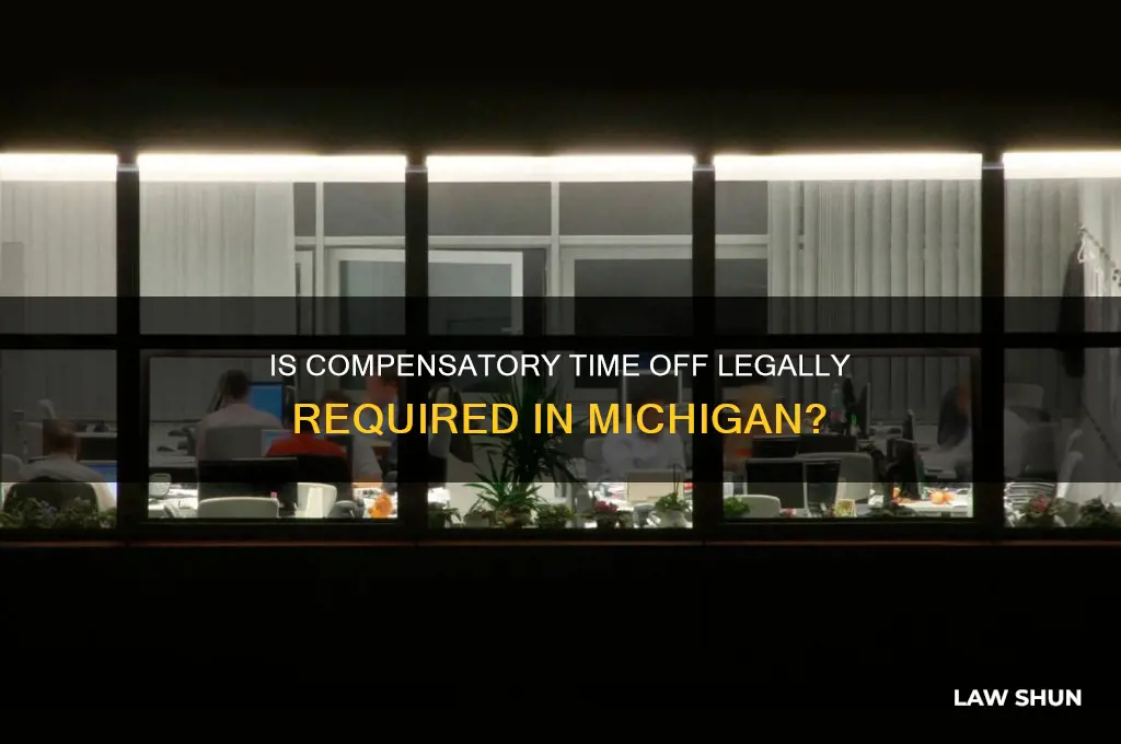 is it law to compensatory time in michigan