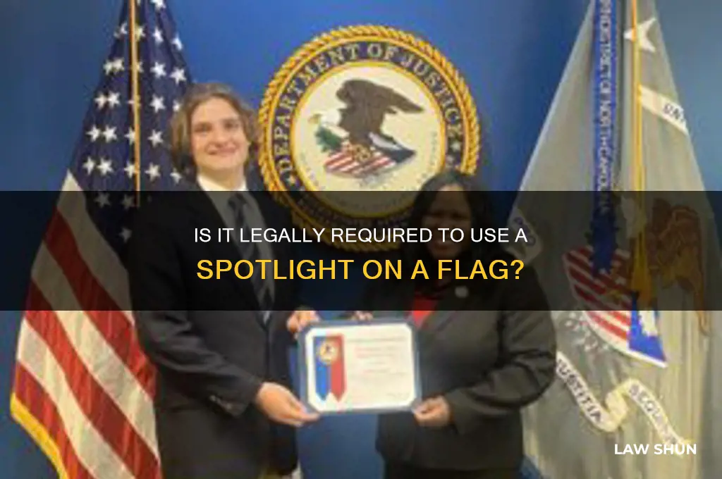 is it law to have a spotlight on a flag