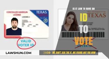 Is Voter ID Mandatory? Understanding Legal Requirements for Voting