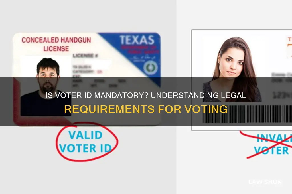 is it law to have an id to vote