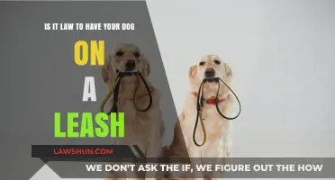 Leash Laws: Are Dogs Required to Be on a Leash?