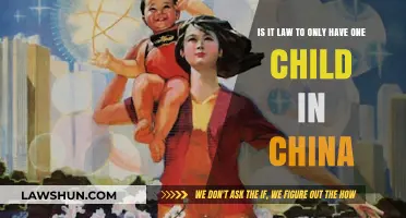 China's One-Child Policy: Legal Legacy and Current Family Planning Laws