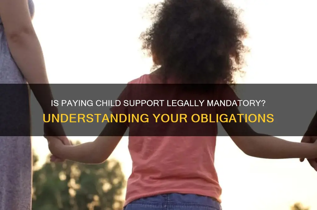 is it law to pay child support