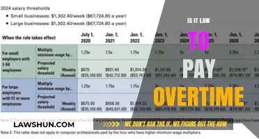 Understanding Overtime Pay: Legal Requirements and Employer Obligations