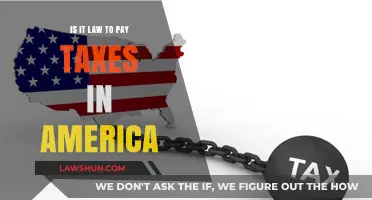 Paying Taxes in America: What Does the Law Say?