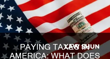 is it law to pay taxes in america