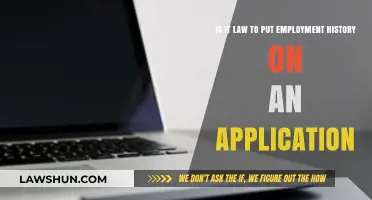 Is Employment History Mandatory on Job Applications? Legal Insights