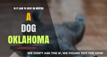 Oklahoma Dog Spay/Neuter Laws: What Pet Owners Need to Know