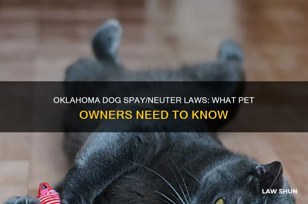 is it law to spay or neuter a dog oklahoma