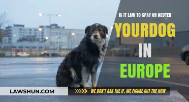 Is Spaying or Neutering Your Dog Legally Required in Europe?