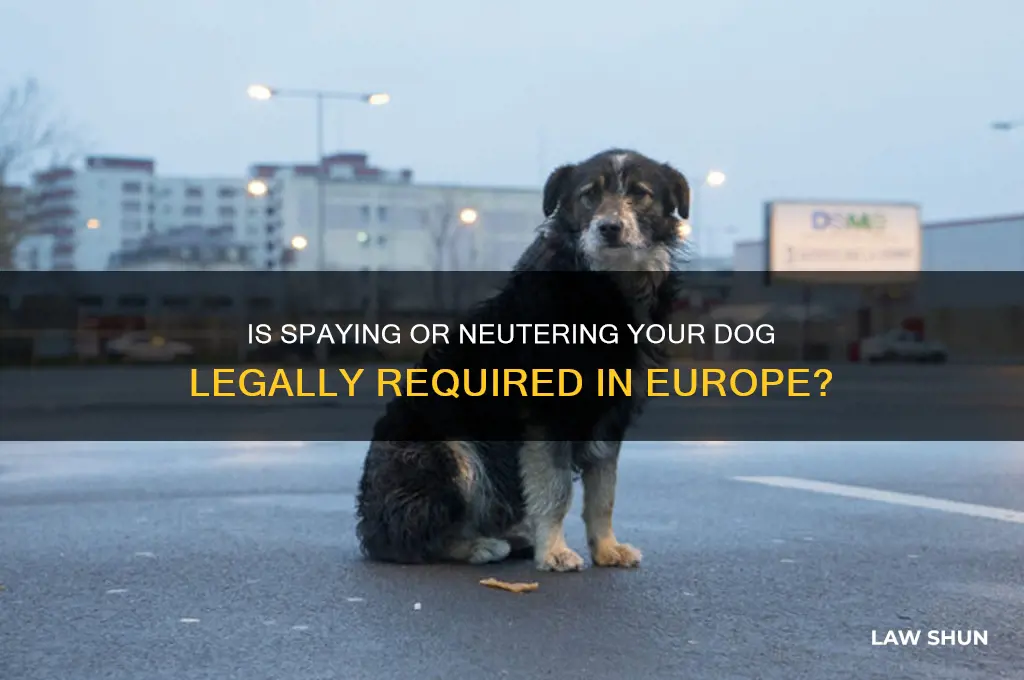 is it law to spay or neuter yourdog in europe