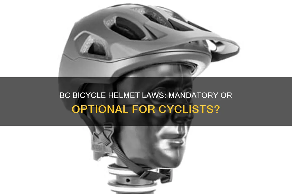 is it law to wear a bicycle helmet in bc