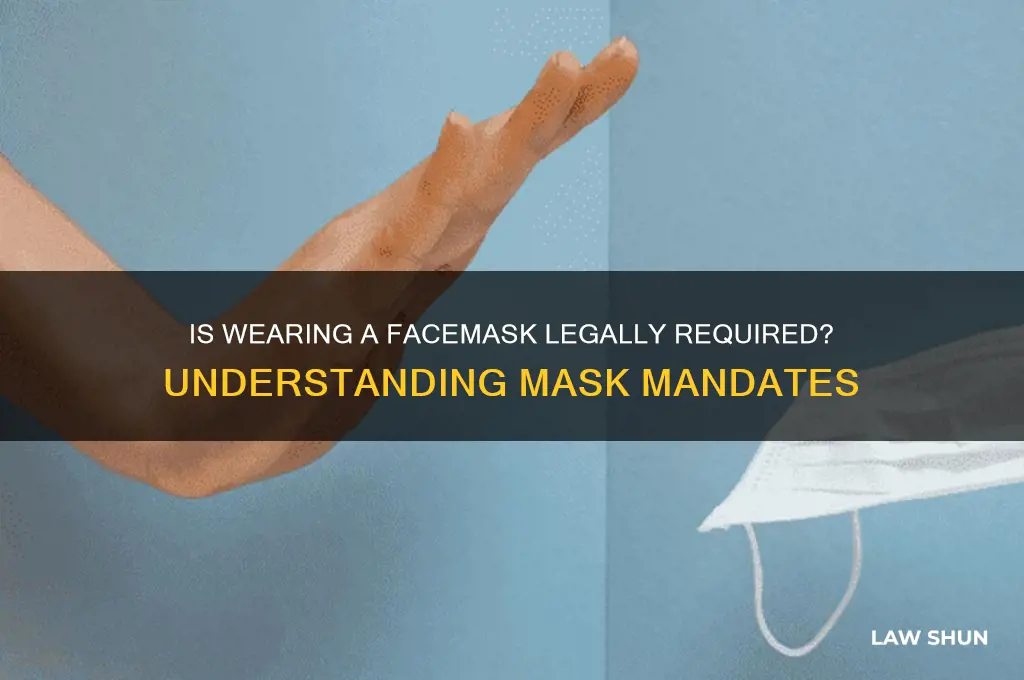 is it law to wear a facemask