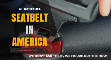 Is Wearing a Seatbelt Legally Required in the United States?