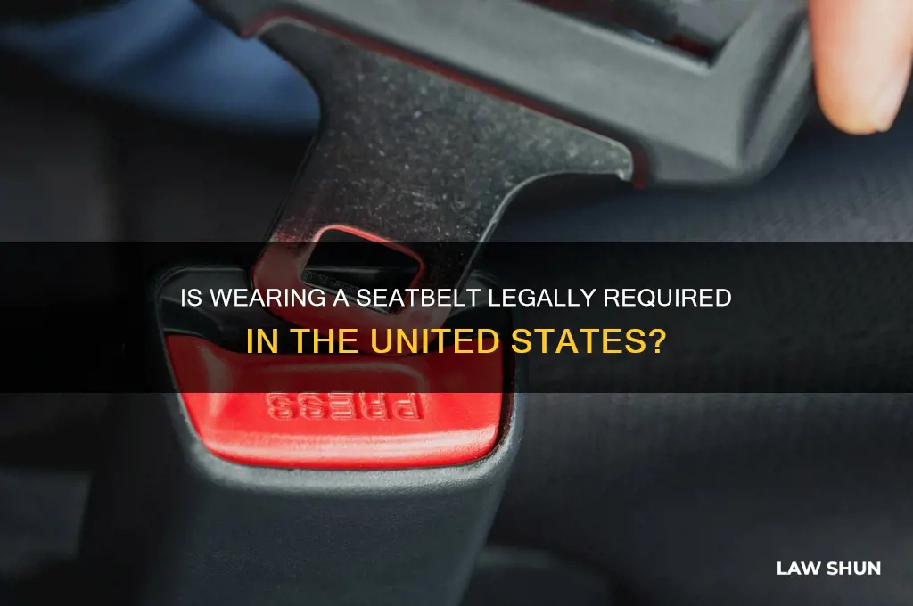is it law to wear a seatbelt in america