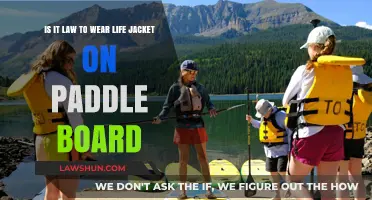 Is It Mandatory to Wear a Life Jacket on a Paddle Board?