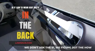 Is Wearing a Seat Belt in the Back Legally Required?