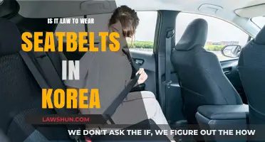 Is Wearing a Seatbelt Mandatory in South Korea? Legal Insights