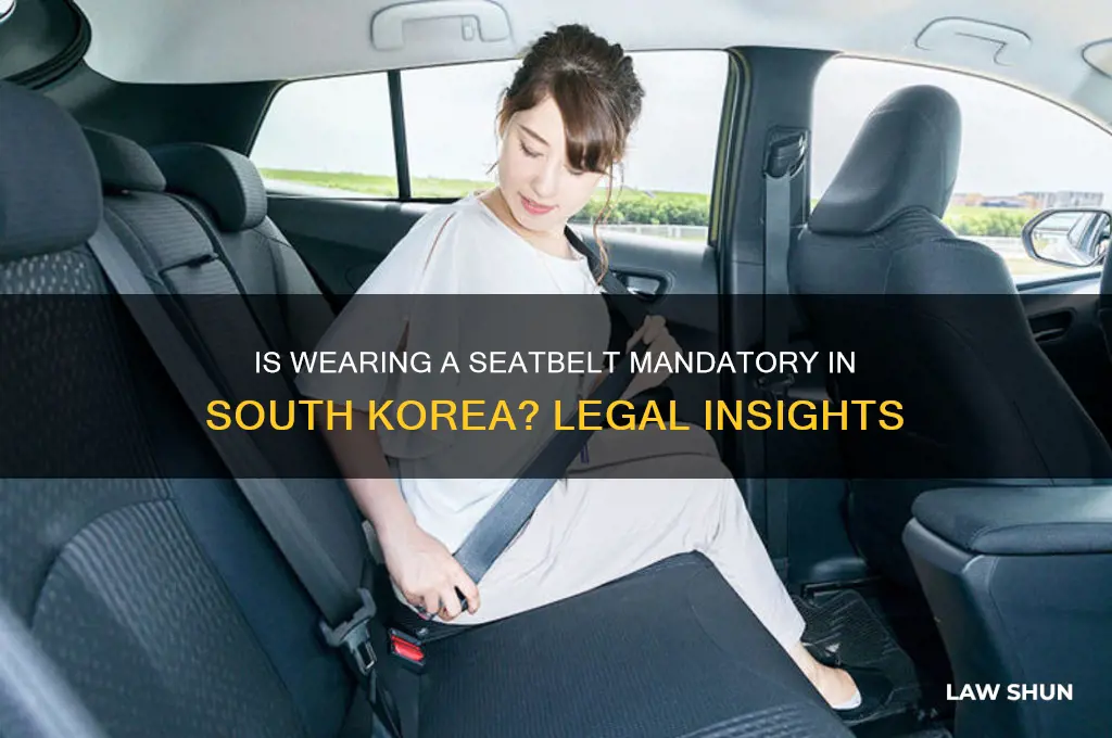 is it law to wear seatbelts in korea