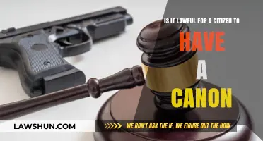 Is Owning a Cannon Legal? Exploring Citizen Rights and Firearms Laws