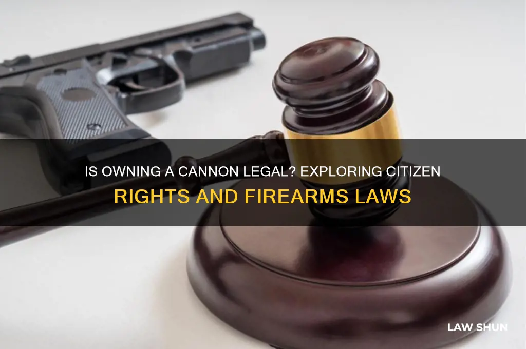 is it lawful for a citizen to have a canon