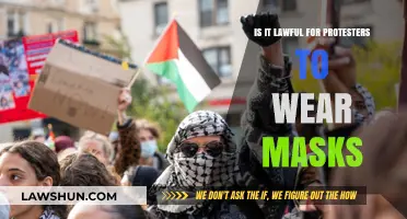 Masked Protests: Legal Boundaries and Freedom of Expression Explored