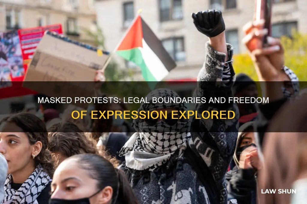 is it lawful for protesters to wear masks