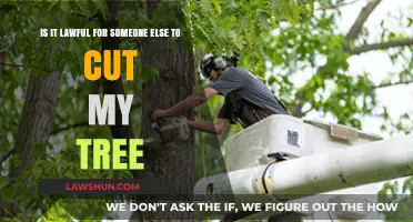 Is It Legal for Neighbors to Cut Down Your Tree?